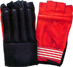 Bag gloves
